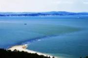 华体会-黄海失利沉寂，嘉和保级步步艰难