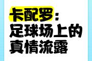 华体会APP-真情流露！球员心怀敬畏，铭记赛场历程