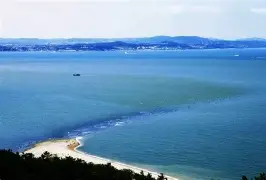 黄海失利沉寂，嘉和保级步步艰难