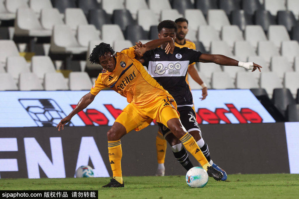 尤文图斯击败帕尔马仍难翻身 尤文图斯击败帕尔马仍难翻身