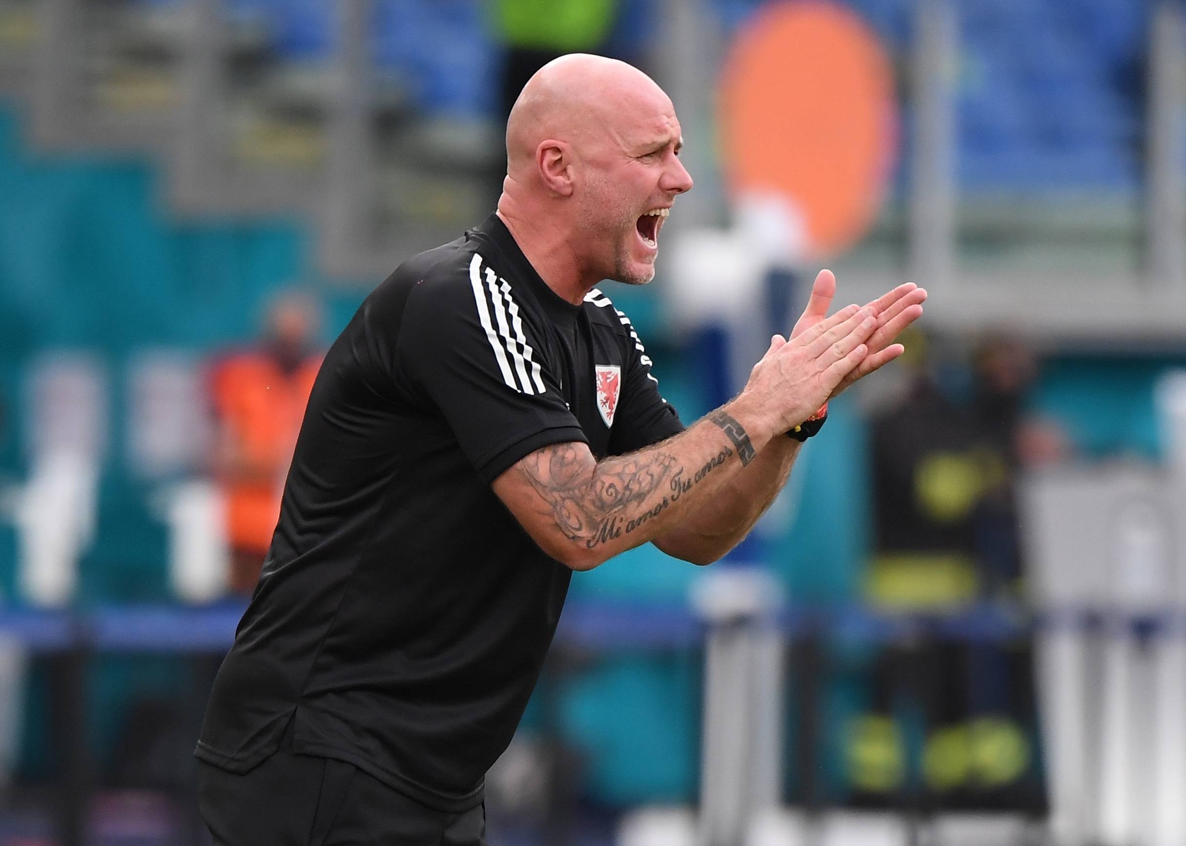 意大利1-0威尔士：贝洛蒂绝杀意甲蓄势待发的简单介绍